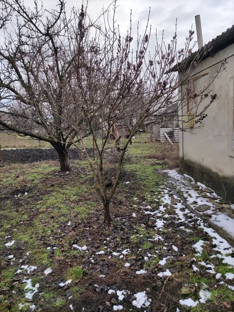 Продам участок с домом с. Пеливан Оргеевский р-он  7